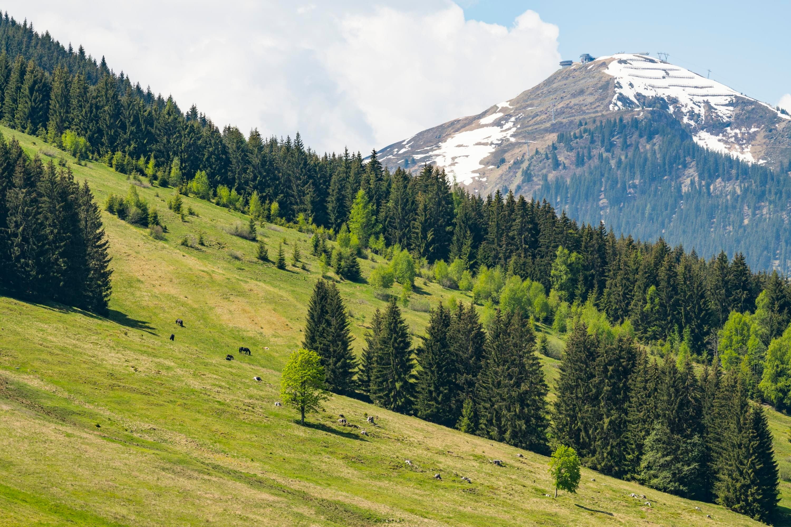 Appartement Bernhofer Top 8 - 7